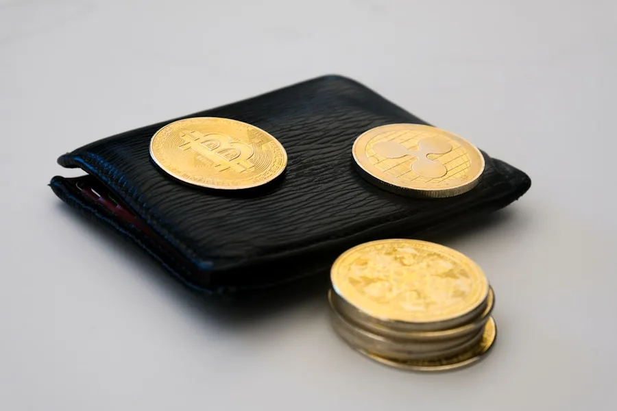 Cryptocurrency wallet and Turkish lira cash exchange savings travel finance