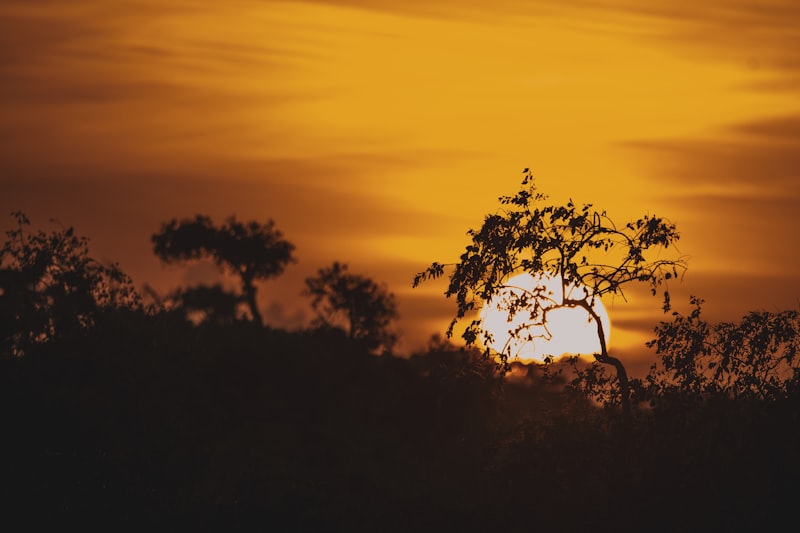 Из Москвы в Хамбантота за 13813₽. Хорошая цена на билет.