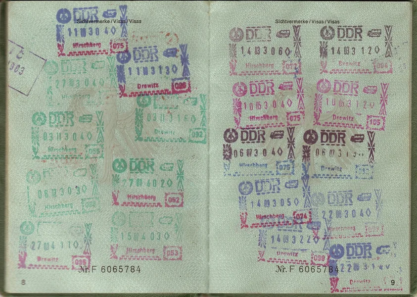 traveling with dog documents Istanbul airport transit