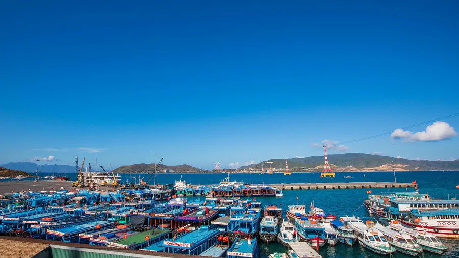 housesitter with cat in Nha Trang Vietnam free accommodation Istanbul Turkey