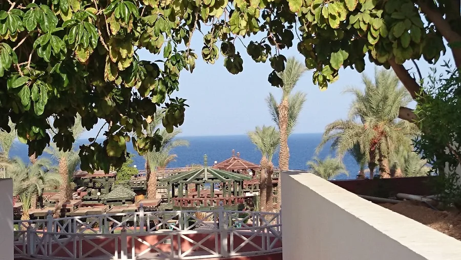 solo traveler booking direct hotel Sharm el Sheikh