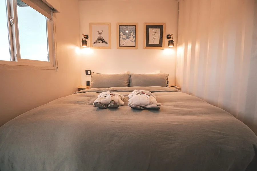 pet amenities hotel room Ekaterinburg Russia Oman