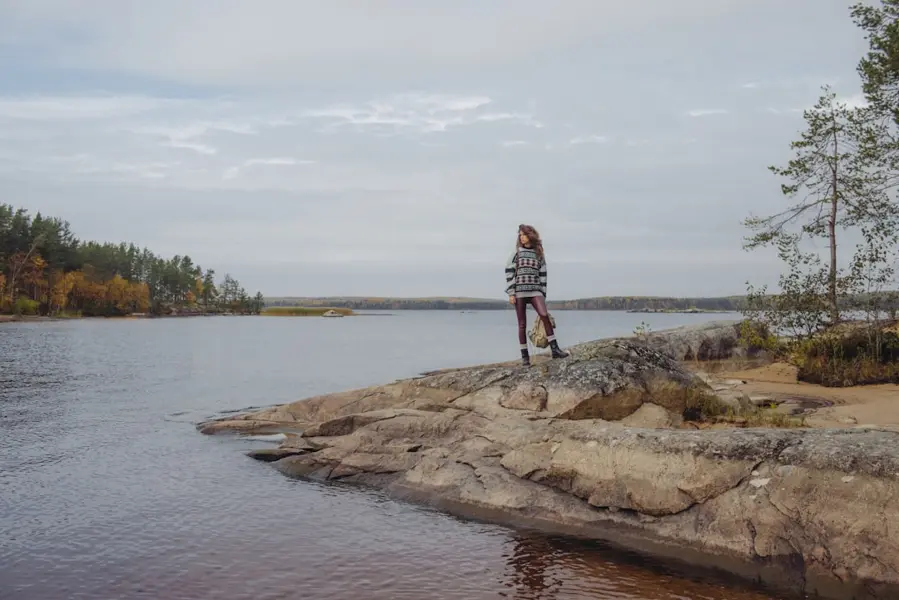 White Sea petroglyphs ancient rock carvings Karelia