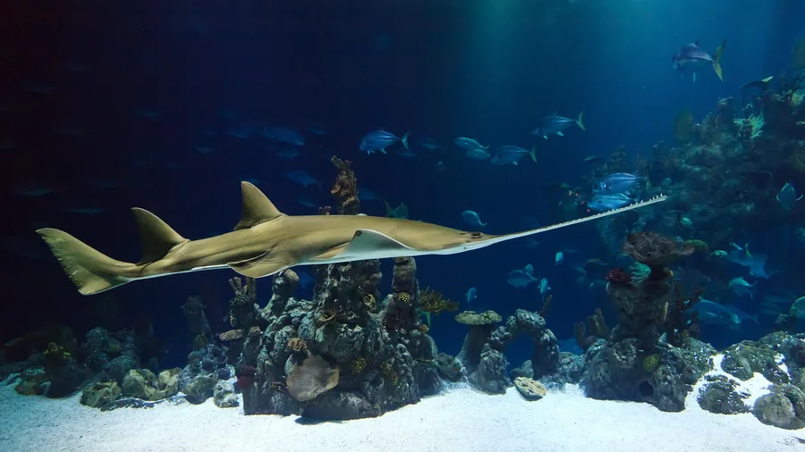 underwater photography Alanya public beach free access