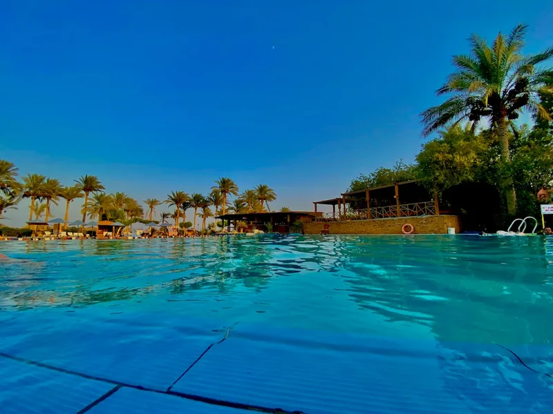 alcohol licensed bar hotel Sharm El-Sheikh Egypt Kotor Montenegro