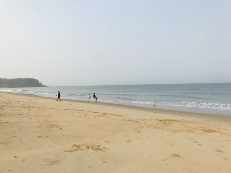 Новосибирск → Гоа 7710₽ на 13 апреля 2026 (билет в одну сторону)