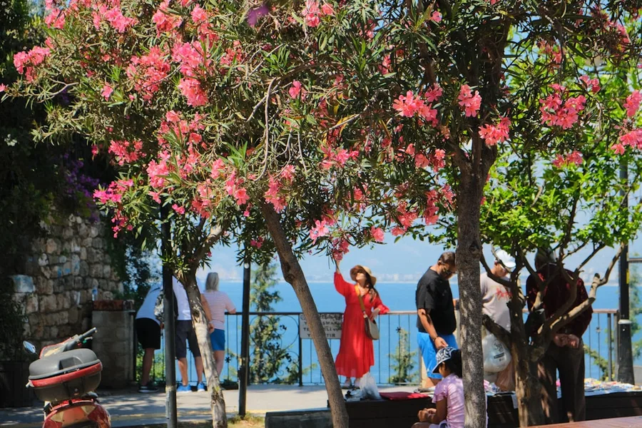 Romantic couple enjoying free accommodation housesitting Antalya Turkey