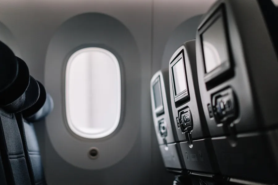 Small dog in cabin Turkish Airlines flight Istanbul Turkey Osh Kyrgyzstan