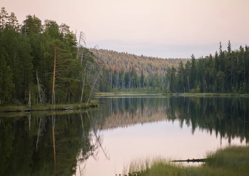 Karelia Russia landscape lake forest