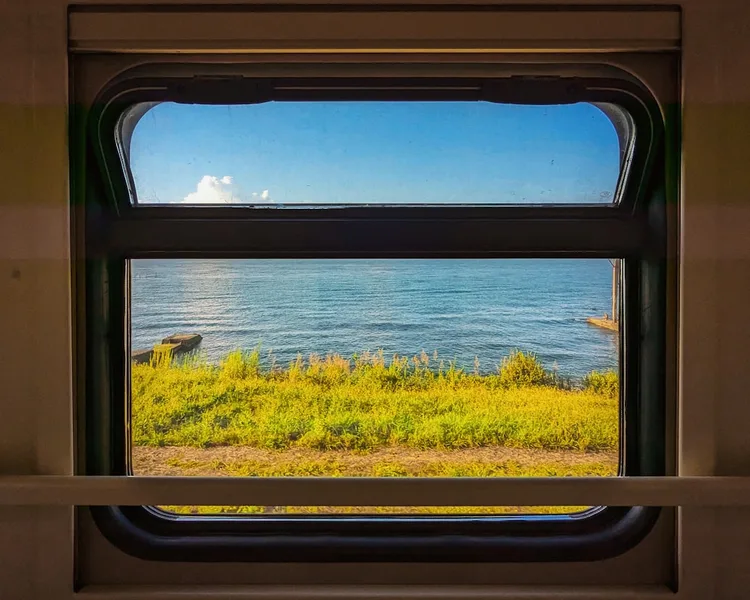 traveling with dog by train Sochi Russia