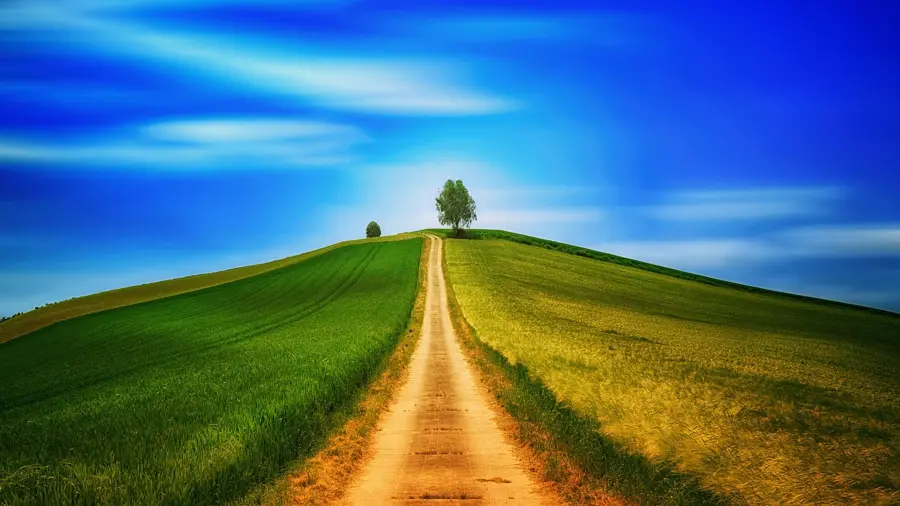 remote village Mari El Republic green landscape summer