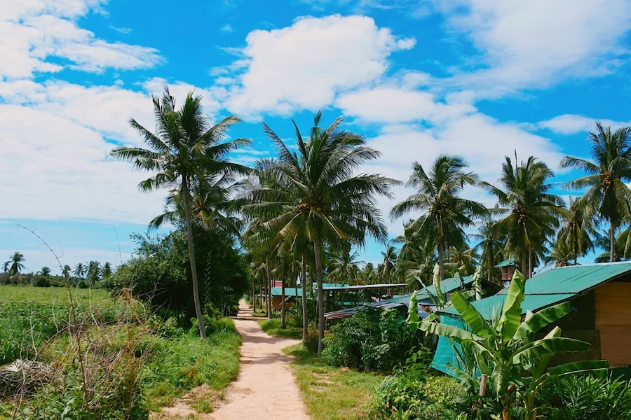 Koh Samui Chaweng Beach Thailand Bangkok Thailand