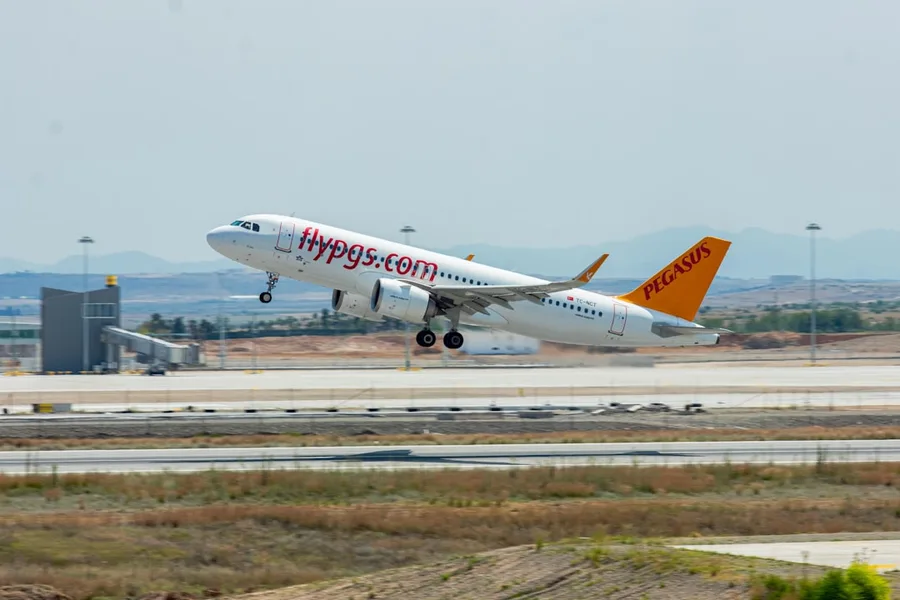 Pegasus airline cabin pet dog on board