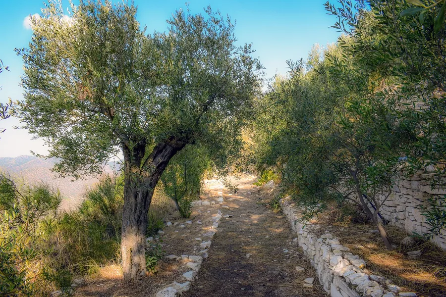 thermal spring Dumanli Antalya Turkey back path olive grove Osh Kyrgyzstan