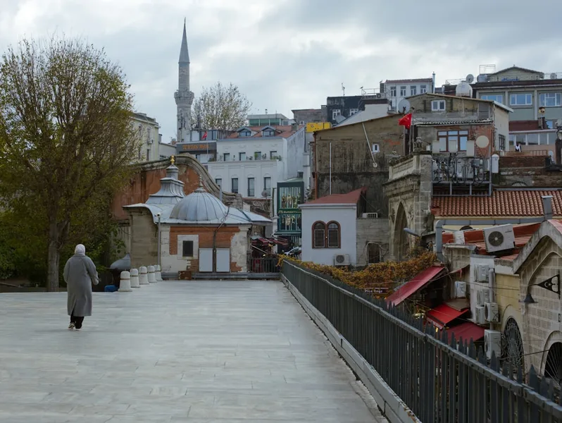 elderly traveler with walking stick Istanbul street Turkey
