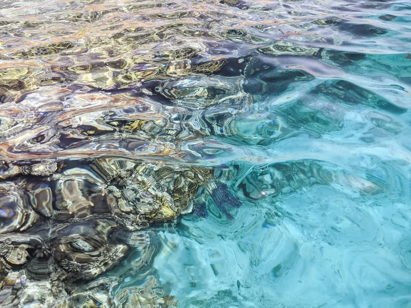 coral reef and fish snorkeling Marsa Alam Red Sea Egypt Sharm el-Sheikh Egypt