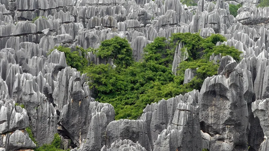 Kunming Stone Forest tourist attraction Yunnan China Guangzhou China