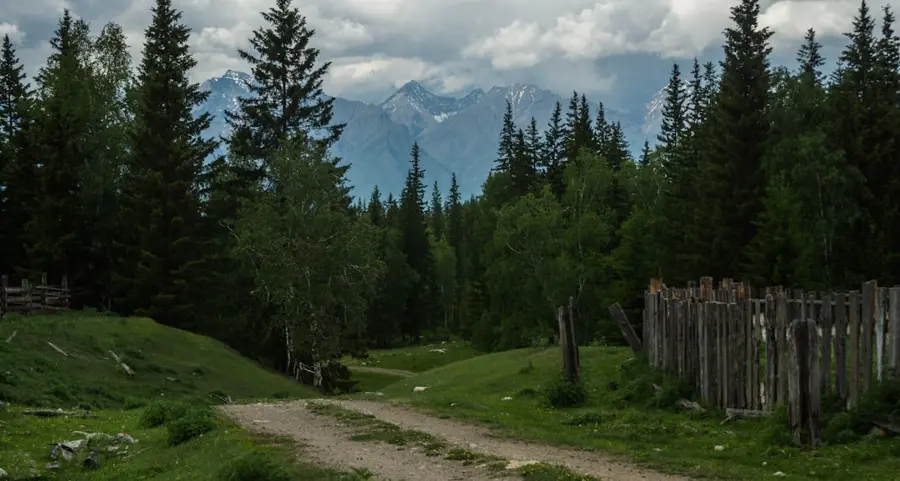 exclusive glamping tent among Siberian forest alone