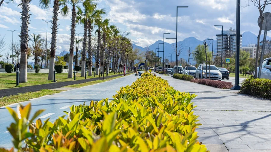 group of seniors walking in Antalya park with orange trees in winter Turkey