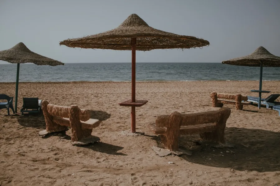 pet-friendly airline cabin Sharm el Sheikh budget travel 2026