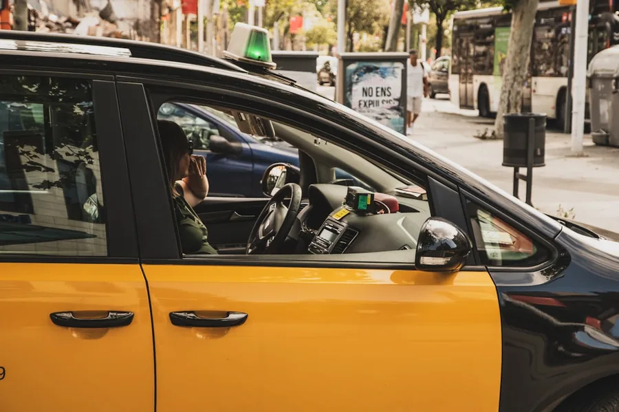 InDrive taxi with dog Antalya 2026 pet-friendly