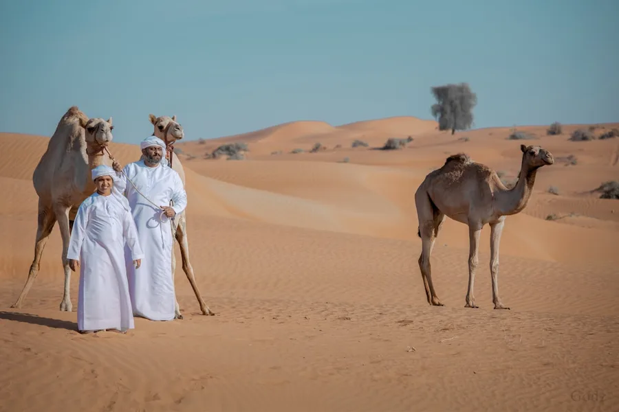 Ras Al Khaimah luxury hotel beach UAE