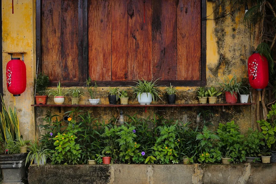housesitting Vietnam pet care Da Nang
